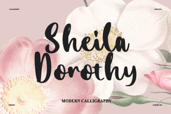Sheila Dorothy: A Font for Elegant Branding