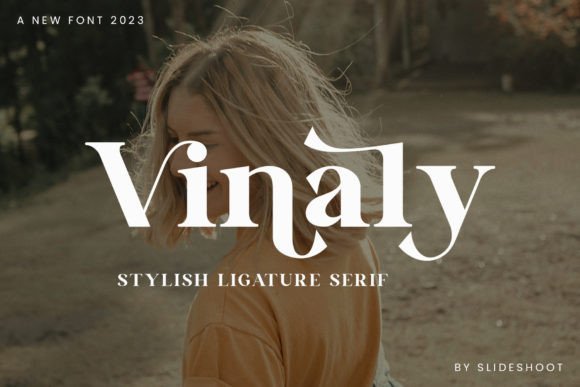 Vinaly: A Stylish Serif for Web Design