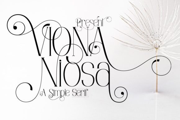 Viona Niosa: A Font for Elegant Branding